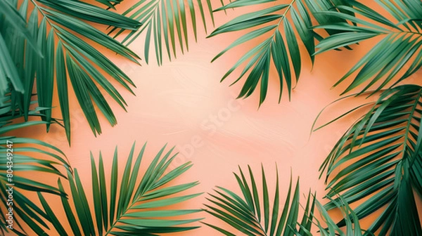Fototapeta background with green leaves of palm tree