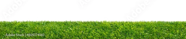 Obraz green grass field isolated on transparent background, png
