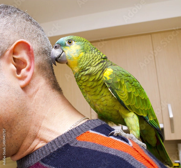Obraz Man with parrot