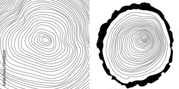 Fototapeta Vector tree rings background and tree log cutted