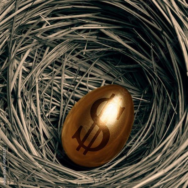 Obraz Gold egg in a nest