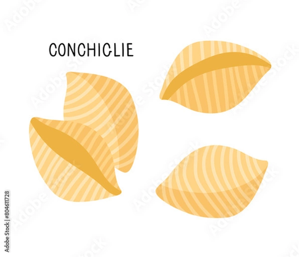 Fototapeta Pasta type conchiglie in flat style in shells shape in flat style with inscription isolated on white. Carbohydrate diet vector illustration. Traditional Italian Food for Menu, shop, packaging.