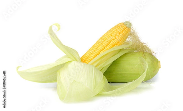 Fototapeta corn isolated on white background