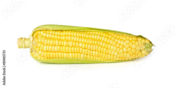 Fototapeta corn isolated on white background