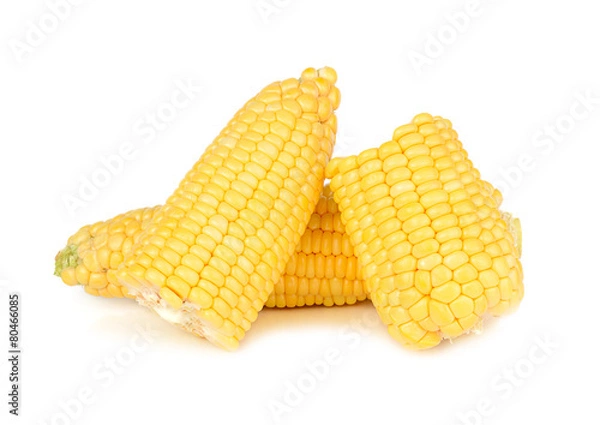 Fototapeta corn isolated on white background