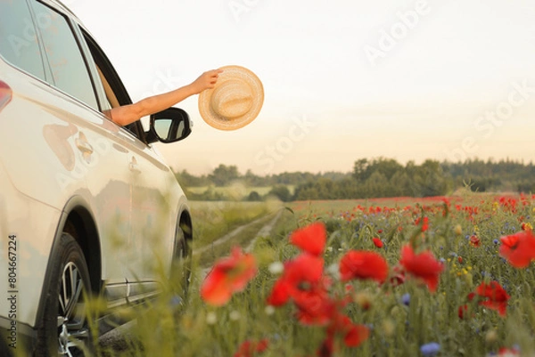 Obraz Hello Summer. Woman enjoying summer vacation. Hands holding hat out of car window.  Summertime, summer fun, enjoying, relaxing, tourism, travel, leisure time, vacation mode, happiness concept. 