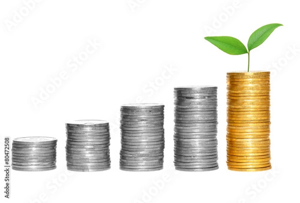 Obraz columns of gold and silver coins isolated on white background