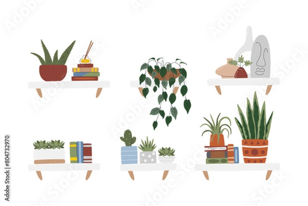 Fototapeta Plants set isolated on white. Mid-century home decor collection. Books, diffuser with oil, sculptures and houseplants on hanging shelves. Home interior decoration hand drawn flat vector illustration