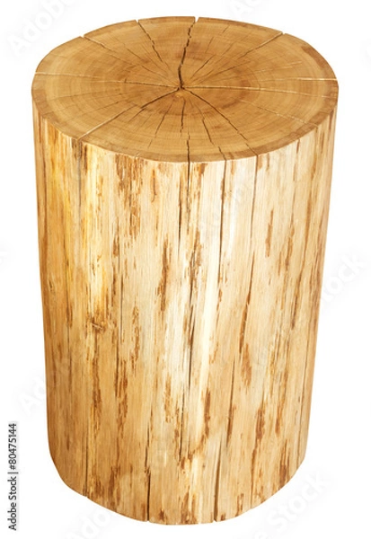 Fototapeta Tree Ring Isolated On White