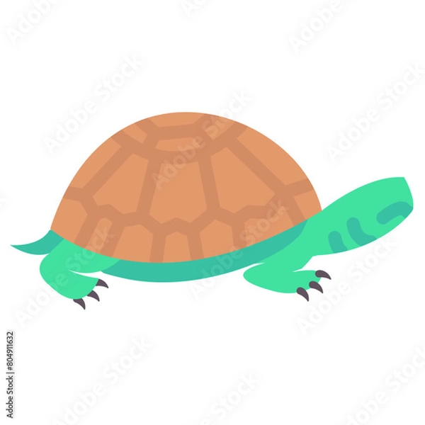 Fototapeta turtle flat vector icon