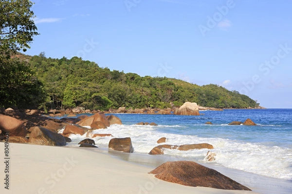 Obraz Beautiful beach Anse Lazio.