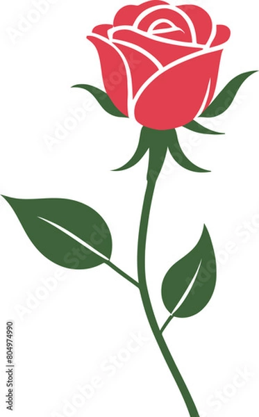 Fototapeta Vector illustration of a single rose with leaves and a stem on a white background