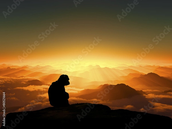 Obraz 日の出と猿