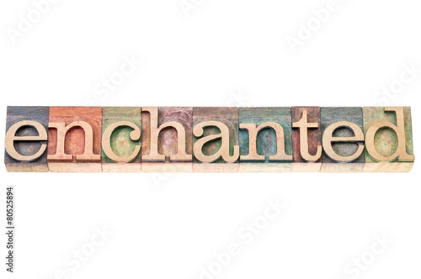 Fototapeta enchanted word typography