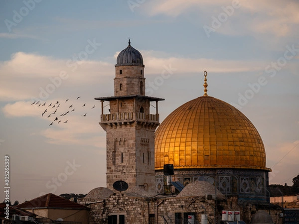 Fototapeta Birds flying around the dome of the Rock at sunset