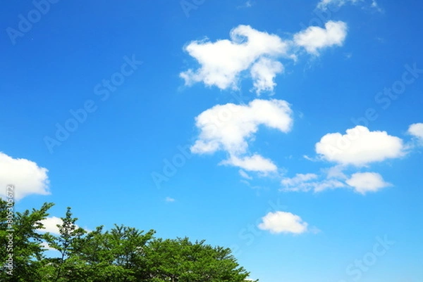 Fototapeta 新緑と青空と白い雲