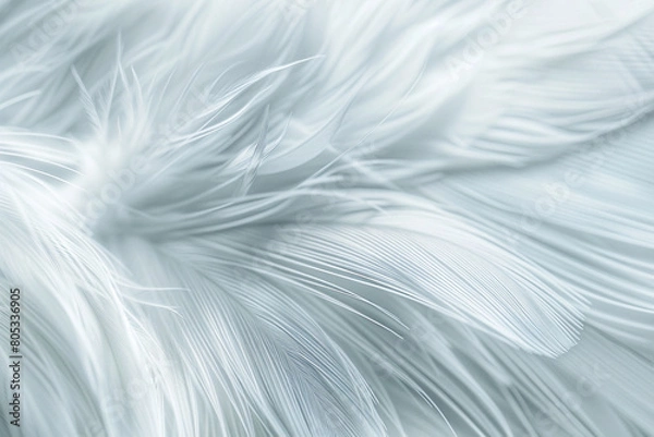 Fototapeta A soft, feather-like texture of white and light gray, giving the illusion of a delicate, airy abstract that resembles a bird's plumage.