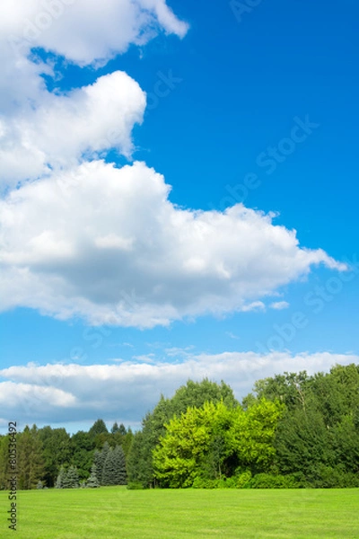 Fototapeta Green Fields and Blue Sky