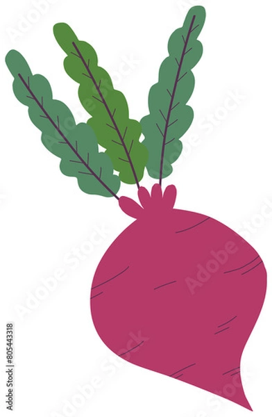 Fototapeta remolacha