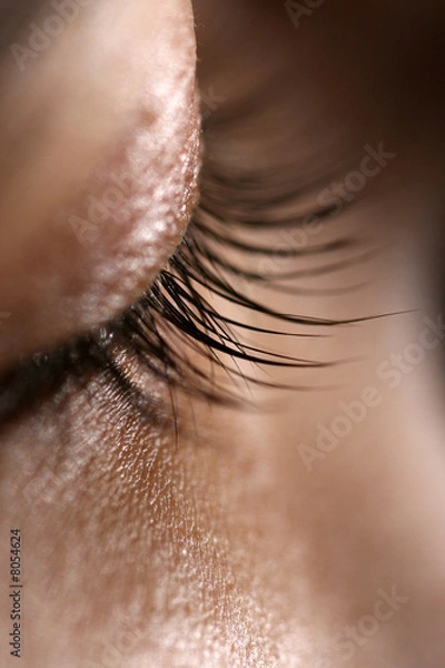 Obraz Close up of the natural eyelashes