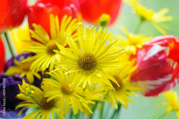 Obraz yellow and red flowers