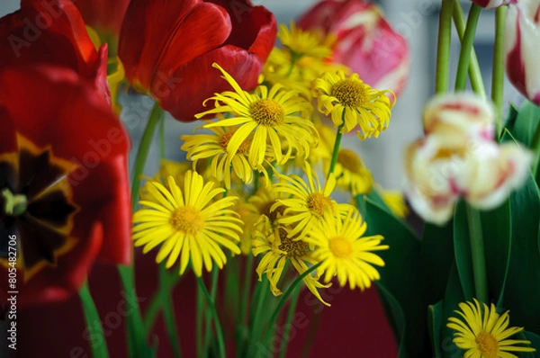 Obraz red and yellow flowers