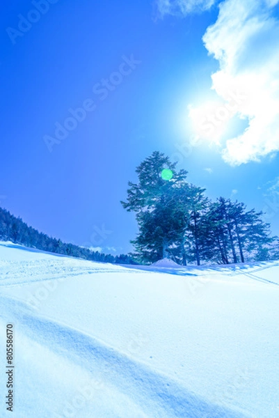 Obraz 青空と新雪のゲレンデ