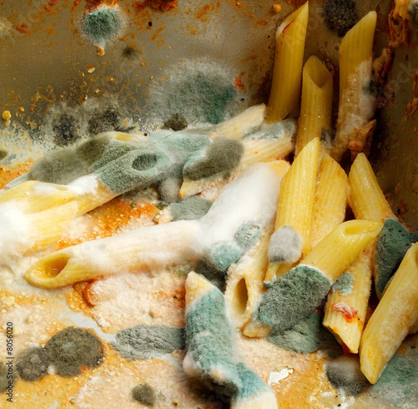 Obraz essen schimmel nudeln