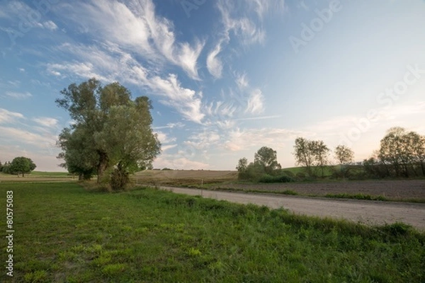 Obraz Rural landscape