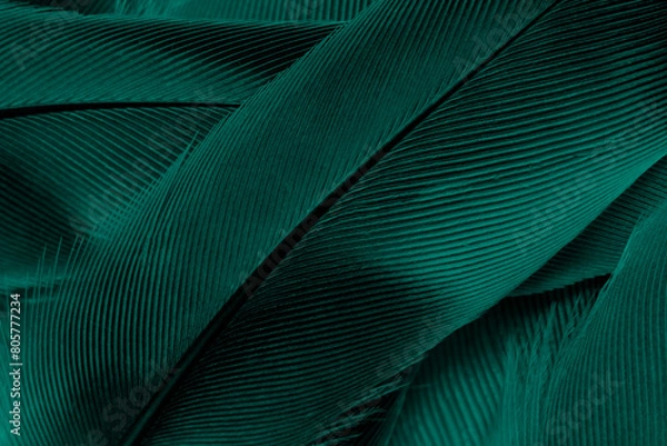 Obraz Beautiful dark green viridian vintage color trends feather texture background