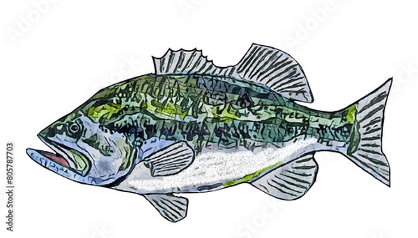 Fototapeta 手描きバス