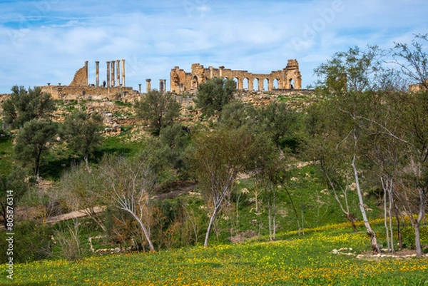 Obraz Panoramic view of Basilica and Capitol, Roman ruins. Archaeological Site of Volubilis. UNESCO World Heritage Site, Morocco
