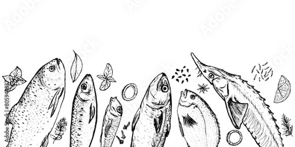 Obraz Horizontal border of spices and fishes drawing on white background. Vector food illustration. Sketch illustration of fish and spices for restaurant decoration.