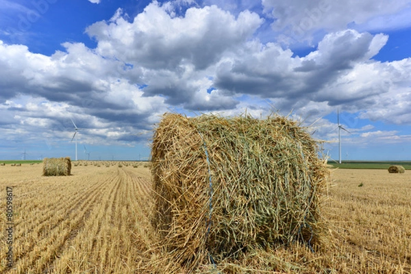 Fototapeta circular haystack in windmill farm field with white grey clouds
