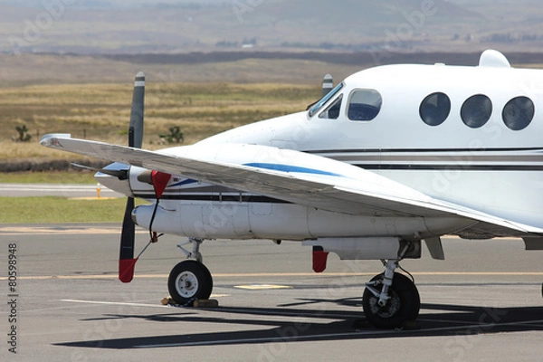 Obraz small pplane parked