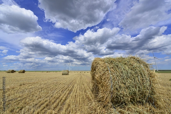 Fototapeta circular haystack in windmill farm field with white grey clouds