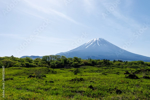 Obraz 人工物の見えない早朝のキレイな富士の山