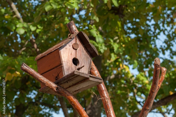 Obraz bird house on a tree surrounded by green leaf