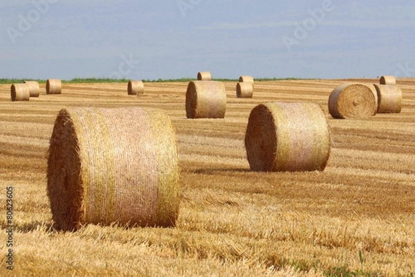 Fototapeta Strohballen