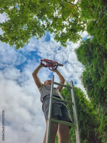 Fototapeta Man climbing a ladder with a chainsaw under the bright sky, surrounded by lush green trees in a forest on a sunny day, showing harmony between nature and human activity in a picturesque setting.