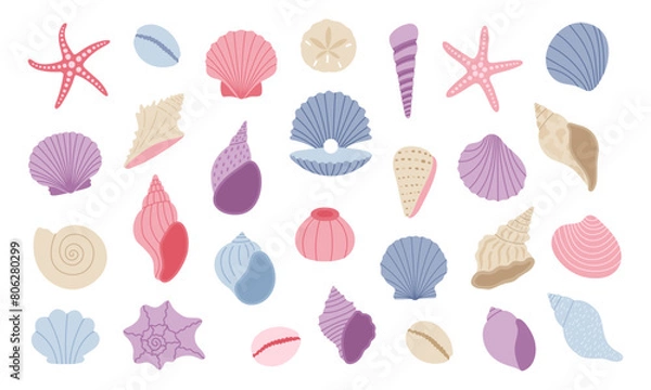 Fototapeta Cute seashell, starfish, clam. Sea shell set. Hand drawn vector illustration isolated on white background