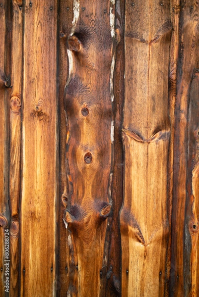 Obraz old wood texture
