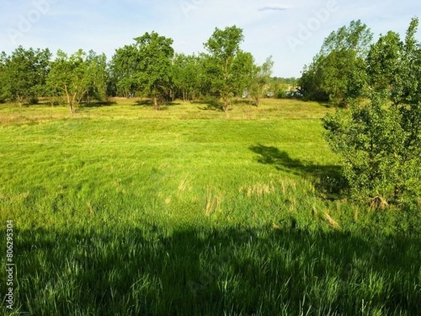 Obraz Rural landscape in May