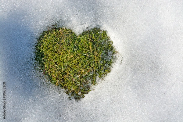 Obraz Snow melting in the shape of a heart