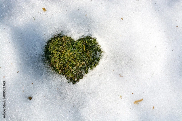 Obraz Snow melting in the shape of a heart