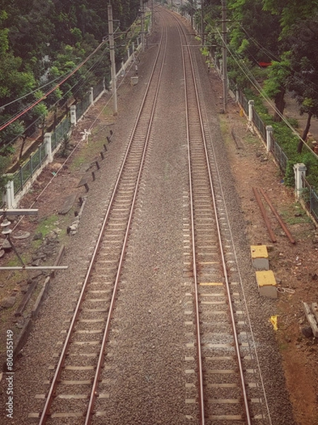 Obraz railroad tracks in the forest