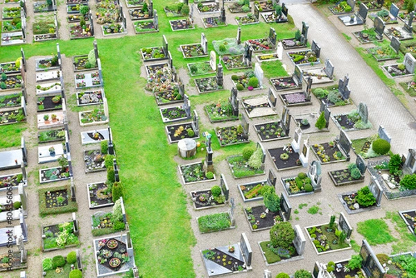 Fototapeta Graveyard filled with plants, graves, and grass in an aerial view