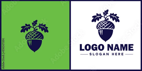 Obraz acorn icon Oak nut Acorn nut Acorn seed flat logo sign symbol editable vector