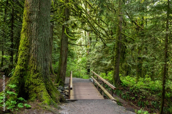 Obraz Hiking trail bridge through Bridal Veil Falls Provincial Park. The landscape encompassing the park is characterized by low elevation valleys and lush, rounded mountains and a rain forest environment. 