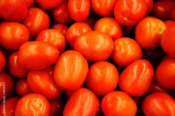 Obraz Rzymskie pomidory